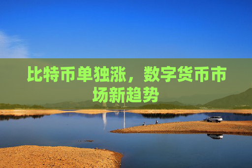 比特币单独涨，数字货币市场新趋势