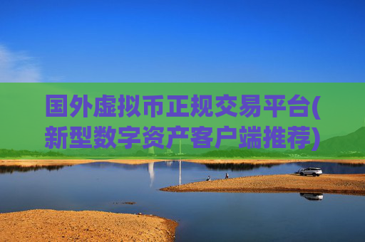 国外虚拟币正规交易平台(新型数字资产客户端推荐)