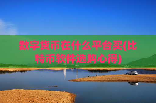 数字货币在什么平台买(比特币软件选购心得)