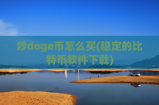 炒doge币怎么买(稳定的比特币软件下载)
