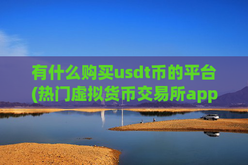 有什么购买usdt币的平台(热门虚拟货币交易所app推荐)