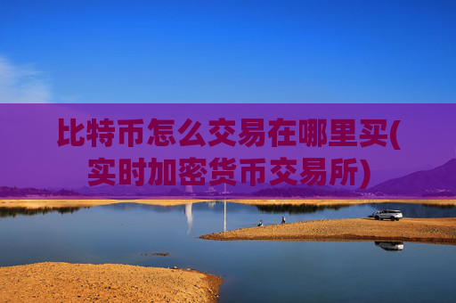 比特币怎么交易在哪里买(实时加密货币交易所)