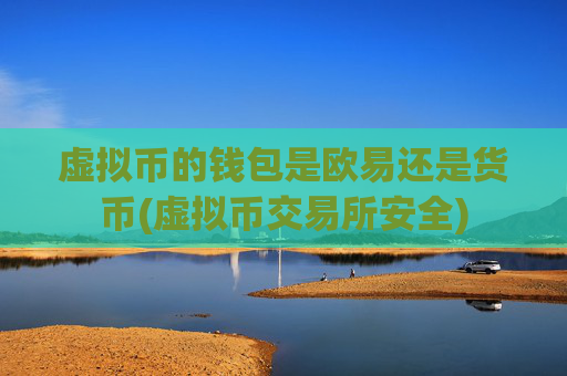 虚拟币的钱包是欧易还是货币(虚拟币交易所安全)