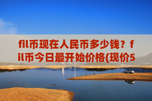 fil币现在人民币多少钱？fil币今日最开始价格(现价57.4652元)