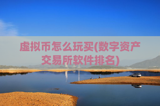 虚拟币怎么玩买(数字资产交易所软件排名)