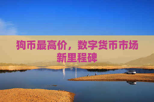 狗币最高价,数字货币市场新里程碑