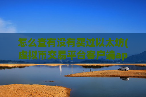 怎么查有没有买过以太坊(虚拟币交易平台客户端app)