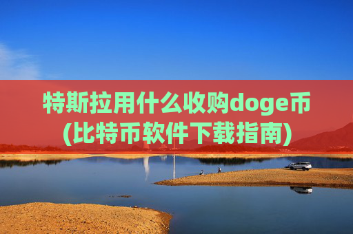 特斯拉用什么收购doge币(比特币软件下载指南)