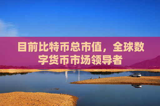 目前比特币总市值，全球数字货币市场领导者