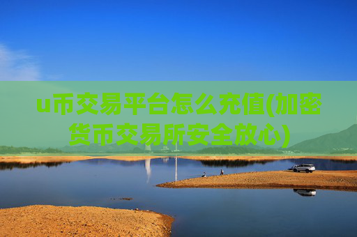 u币交易平台怎么充值(加密货币交易所安全放心)