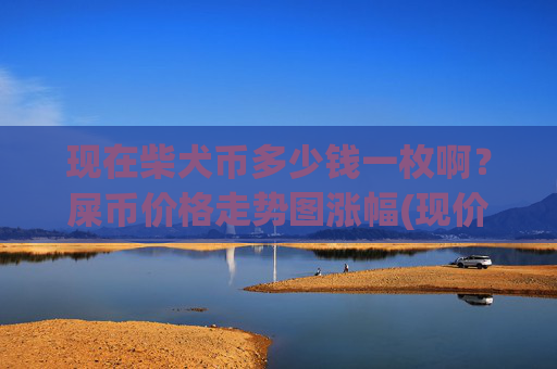现在柴犬币多少钱一枚啊?屎币价格走势图涨幅(现价0.00023018元)