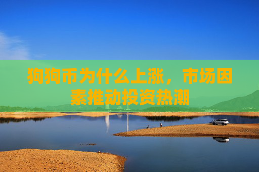 狗狗币为什么上涨，市场因素推动投资热潮