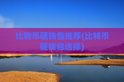 比特币硬钱包推荐(比特币硬钱包选择)