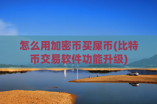 怎么用加密币买屎币(比特币交易软件功能升级)