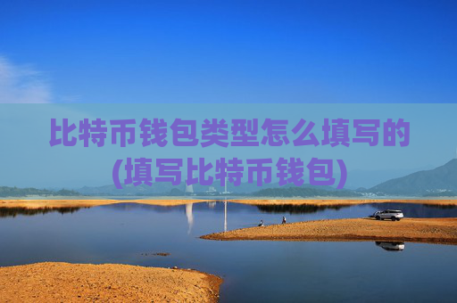 比特币钱包类型怎么填写的(填写比特币钱包)