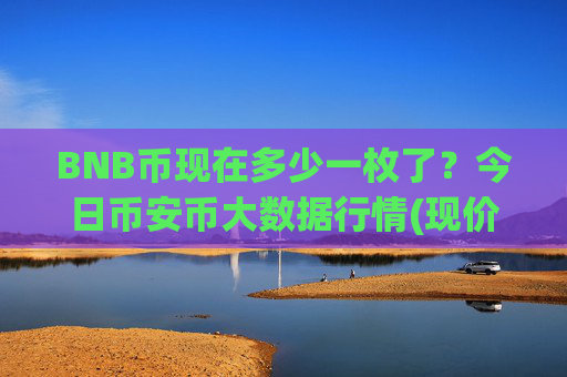 BNB币现在多少一枚了?今日币安币大数据行情(现价5171.1元)