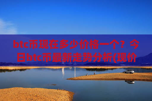 btc币现在多少价格一个?今日btc币最新走势分析(现价732914.19元)