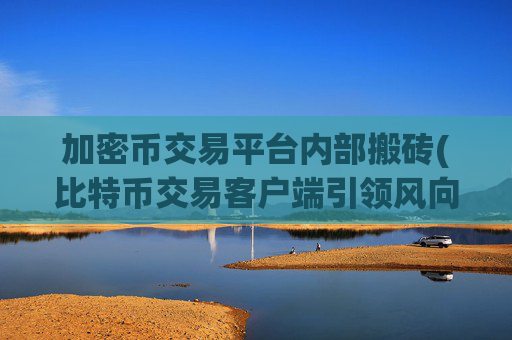 加密币交易平台内部搬砖(比特币交易客户端引领风向)
