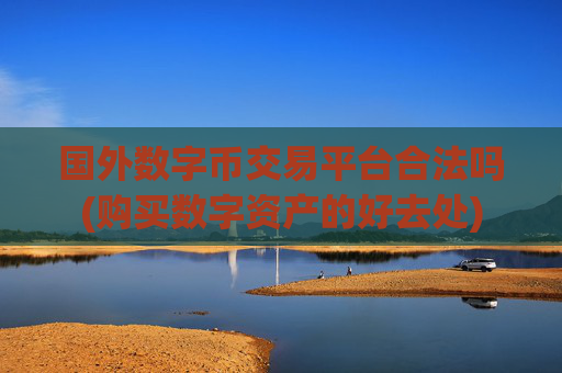 国外数字币交易平台合法吗(购买数字资产的好去处)