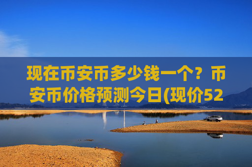 现在币安币多少钱一个？币安币价格预测今日(现价5246.61元)