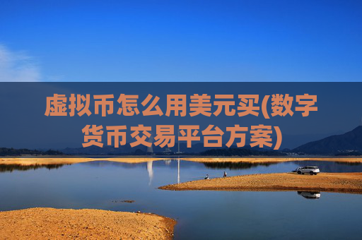 虚拟币怎么用美元买(数字货币交易平台方案)