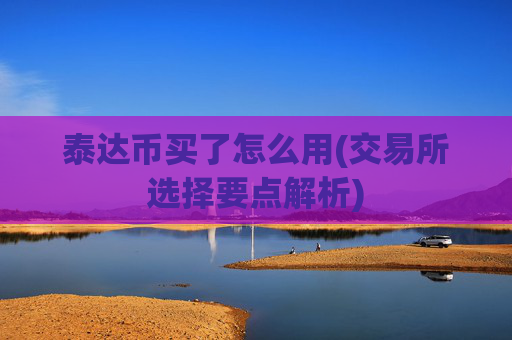 泰达币买了怎么用(交易所选择要点解析)