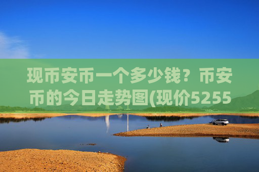 现币安币一个多少钱?币安币的今日走势图(现价5255.49元)
