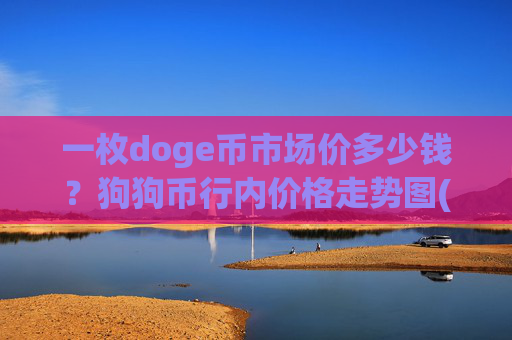 一枚doge币市场价多少钱?狗狗币行内价格走势图(现价2.3333元)