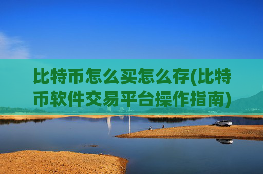 比特币怎么买怎么存(比特币软件交易平台操作指南)