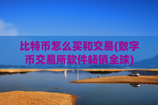 比特币怎么买和交易(数字币交易所软件畅销全球)