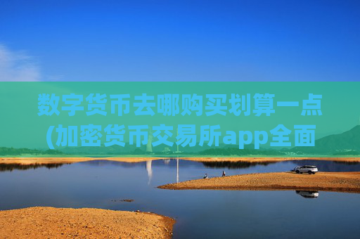 数字货币去哪购买划算一点(加密货币交易所app全面解析)