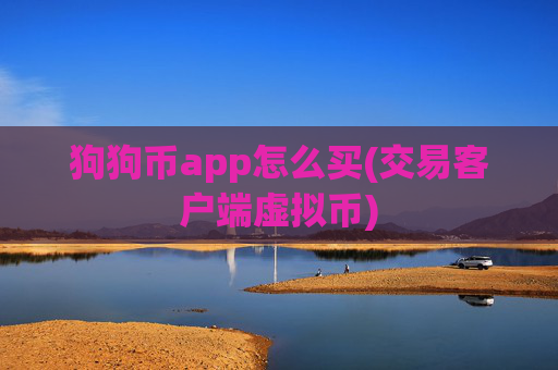 狗狗币app怎么买(交易客户端虚拟币)