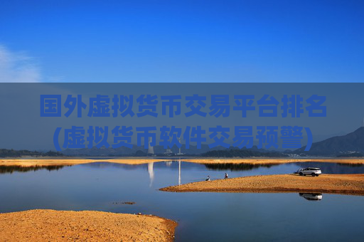 国外虚拟货币交易平台排名(虚拟货币软件交易预警)