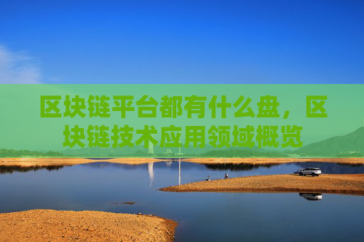区块链平台都有什么盘,区块链技术应用领域概览
