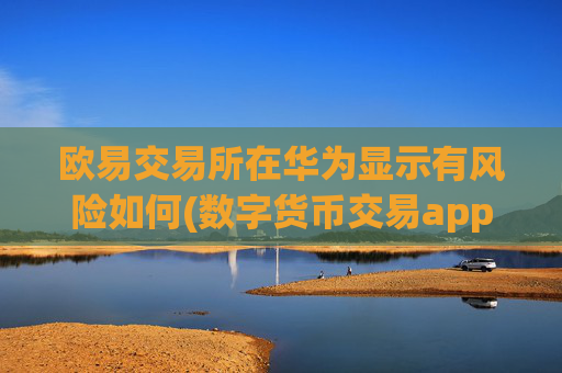 欧易交易所在华为显示有风险如何(数字货币交易app推荐指南)