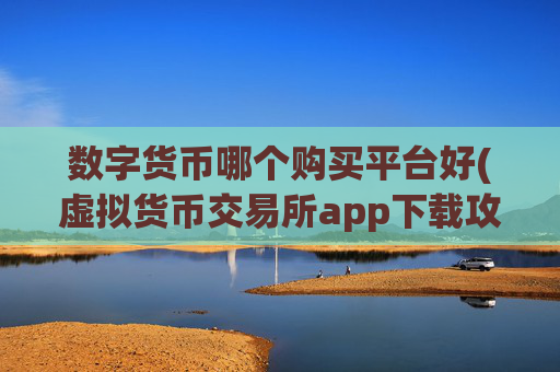 数字货币哪个购买平台好(虚拟货币交易所app下载攻略)