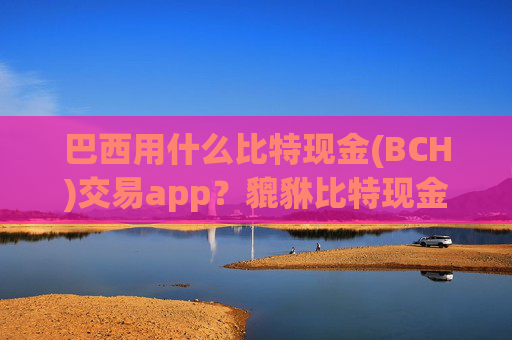 巴西用什么比特现金(BCH)交易app?貔貅比特现金(BCH)交易软件