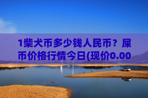1柴犬币多少钱人民币?屎币价格行情今日(现价0.00022767元)