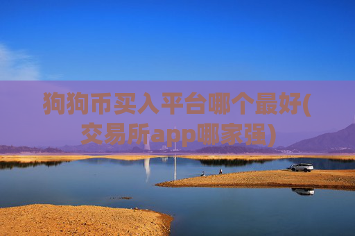 狗狗币买入平台哪个最好(交易所app哪家强)