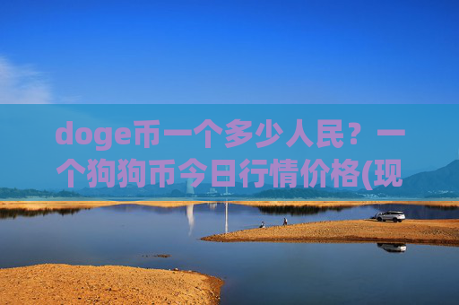doge币一个多少人民？一个狗狗币今日行情价格(现价3.1216元)
