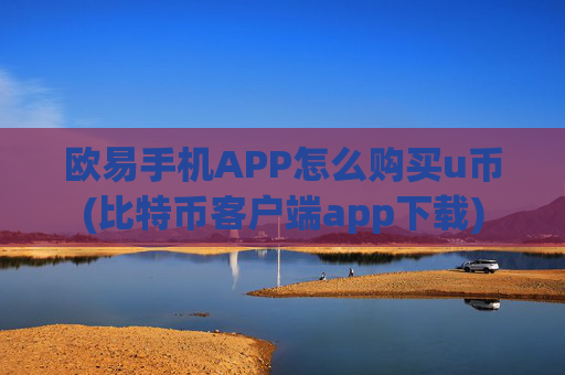 欧易手机APP怎么购买u币(比特币客户端app下载)