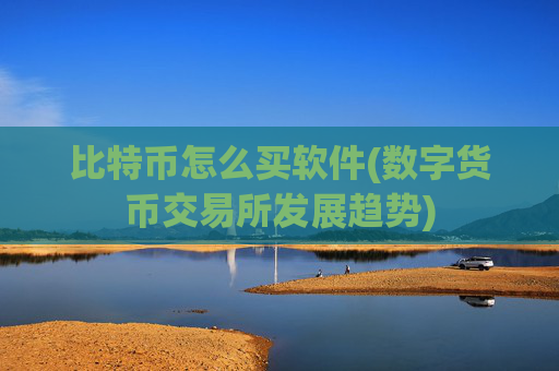 比特币怎么买软件(数字货币交易所发展趋势)