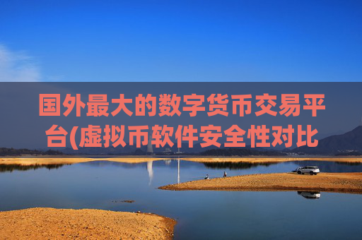 国外最大的数字货币交易平台(虚拟币软件安全性对比)