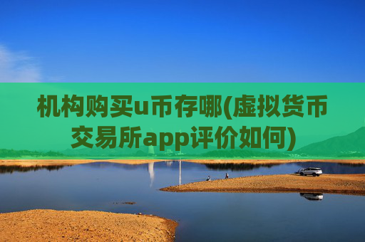 机构购买u币存哪(虚拟货币交易所app评价如何)
