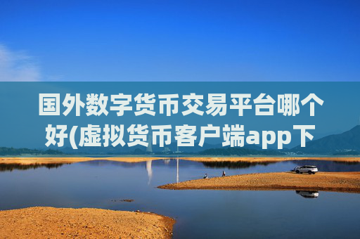 国外数字货币交易平台哪个好(虚拟货币客户端app下载)