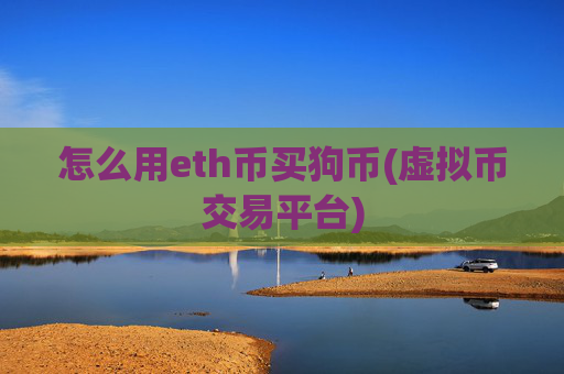 怎么用eth币买狗币(虚拟币交易平台)