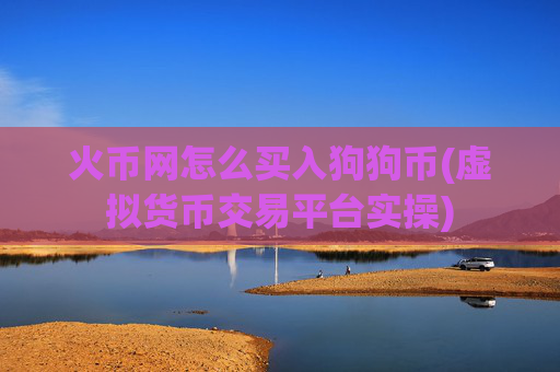 火币网怎么买入狗狗币(虚拟货币交易平台实操)
