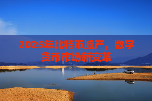 2025年比特币减产,数字货币市场新变革