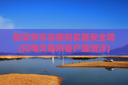 数字货币去哪购买最安全呢(闪电交易所客户端测评)