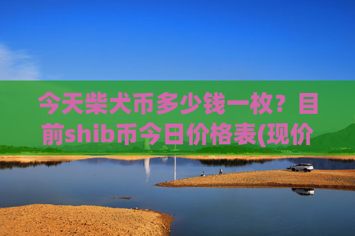 今天柴犬币多少钱一枚?目前shib币今日价格表(现价0.00022848元)